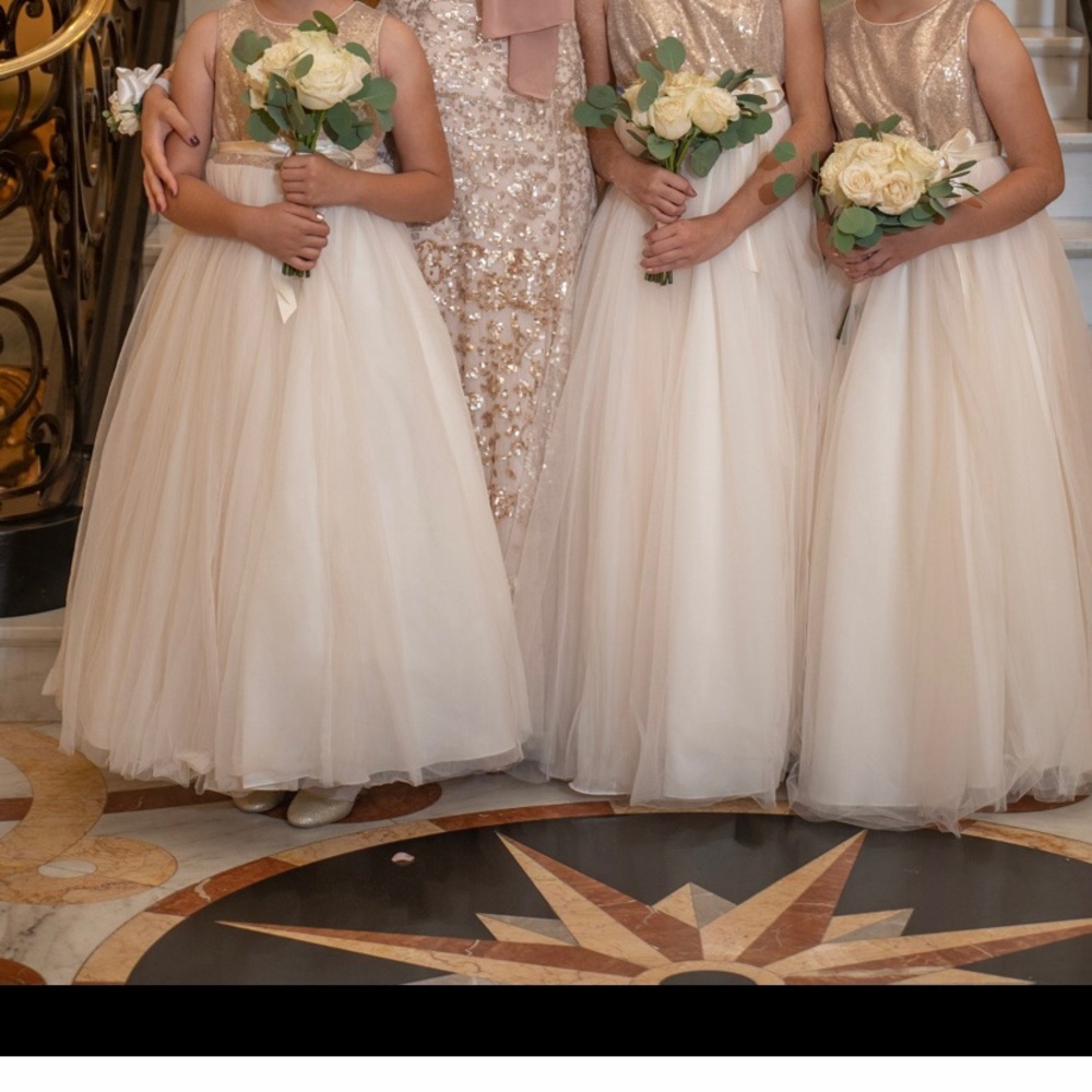 David bridal As Is Heart Back Sequin and Tulle Flower Girl Gown